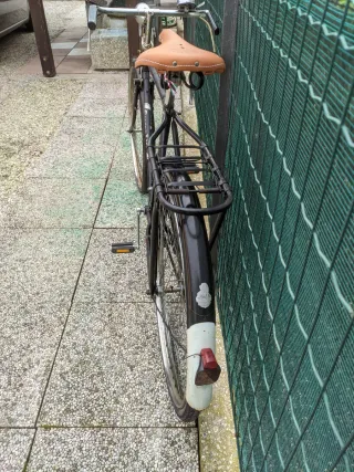 Bici Golden Lion uomo freni a bacchetta introvabil