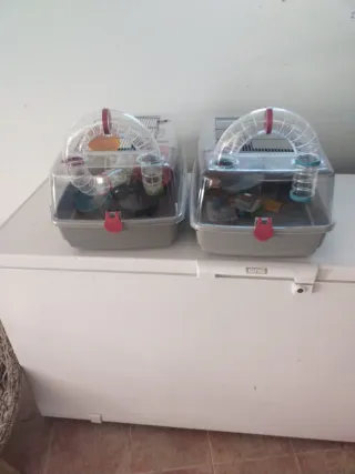 Jaula para hámster con túneles 25€ unidad