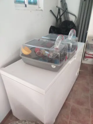 Jaula para hámster con túneles 25€ unidad