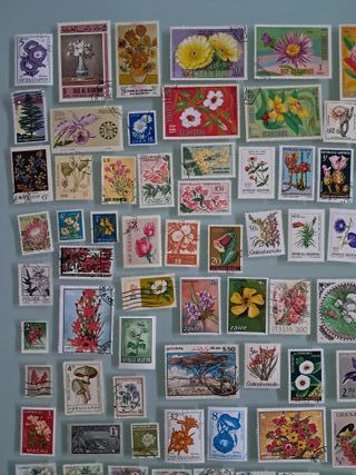 Lotto circa 160 francobolli fiori piante del Mondo