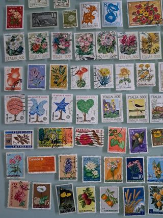 Lotto circa 160 francobolli fiori piante del Mondo
