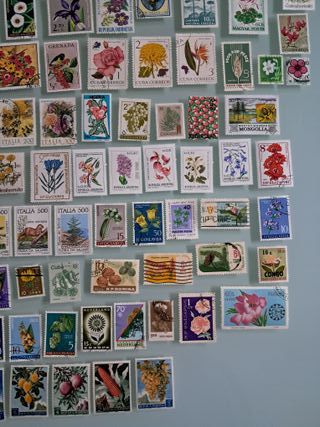 Lotto circa 160 francobolli fiori piante del Mondo