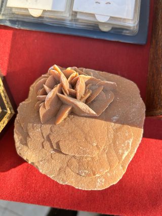 Lote di minerali e fossili