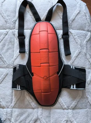 Mono de cuero Dainese Moto