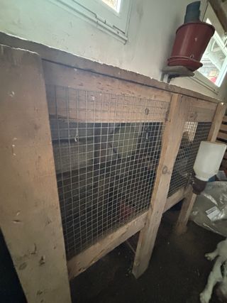 Conejeras de madera y malla