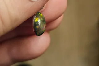 Colgante Ópalo Negro Fuego