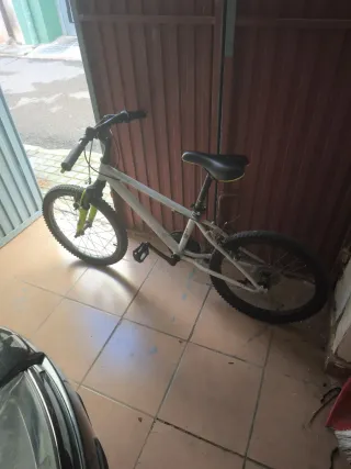 Bicicleta niño 20 revisada