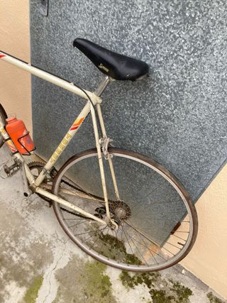 Bicicleta Clásica Torrot