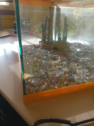 Acuario peces con filtro