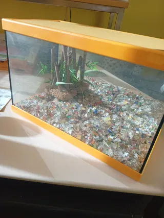 Acuario peces con filtro