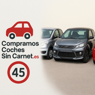 Se Vende Volante Aixam  Todo  2010