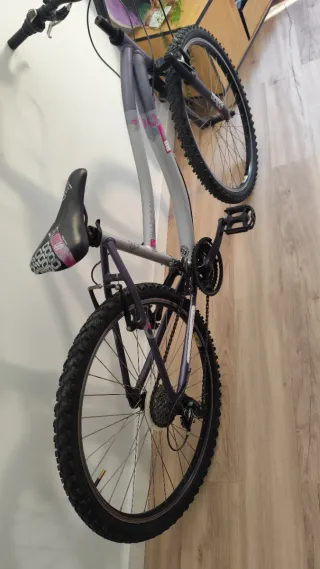 Bicicleta Montaña 26 Morada