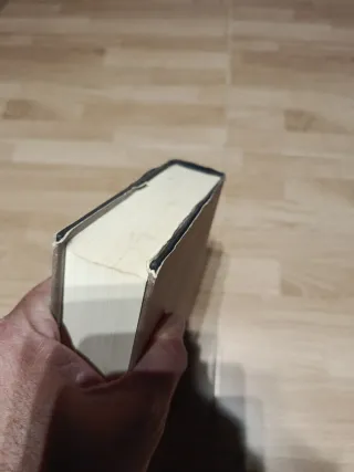 Lote libros fantasía / vampiros