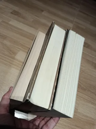 Lote libros fantasía / vampiros