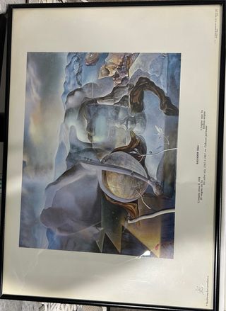 Cuadros Salvador Dalí 48x35