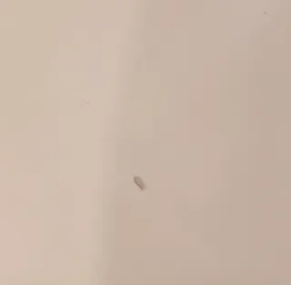 Mesa extensible ovalada blanca nórdica