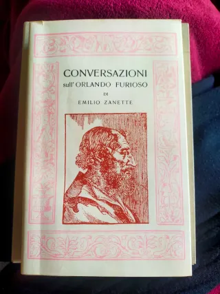 Conversazioni sull'Orlando furioso