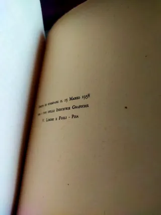 Conversazioni sull'Orlando furioso