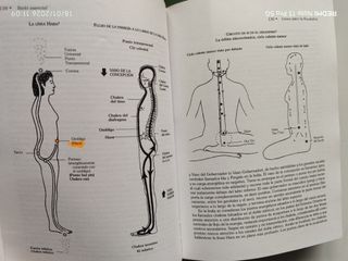 Reiki esencial: La guía más completa del antigu...