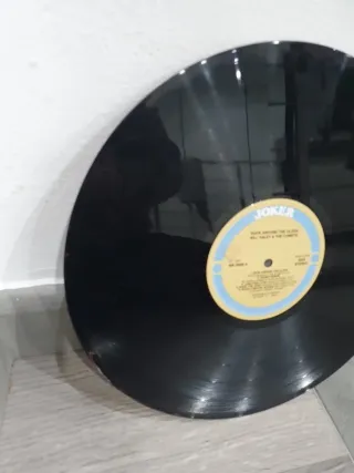 Disco vinile decorato