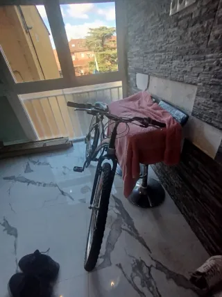 Bicicleta de montaña RIDE