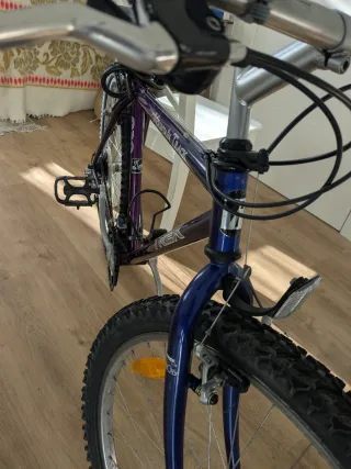 Bicicleta Trek Mountain Track 830