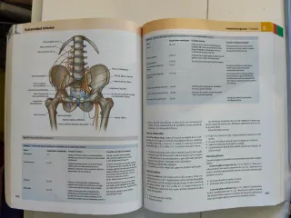Gray. Anatomía para estudiantes + StudentConsul...