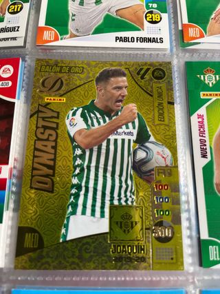 Panini Adrenalyn XL 2025 Precio negociable