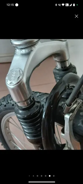 Bicicleta de Montaña Plateada