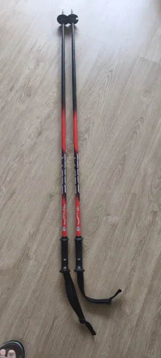 Esquís Rossignol Viper 184cm y palos.