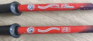 Esquís Rossignol Viper 184cm y palos.