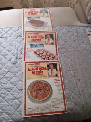 22 fascículo coleccionable,de nuestra mejor cocina