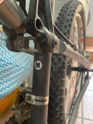 Bicicleta de Montaña Focus Super Bud