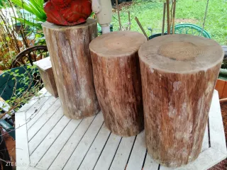 Tres troncos de pino última oferta