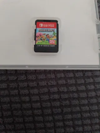 Minecraft Nintendo Switch