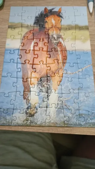 Lote 3 Puzzles Trefl 54 Piezas Mini