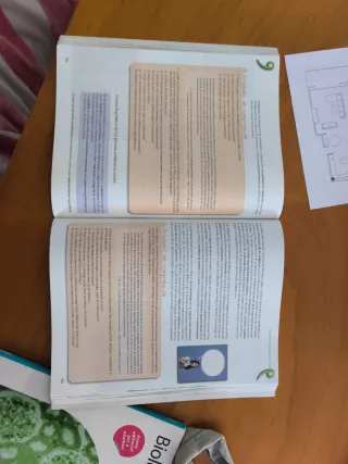 Lengua castellana 2. Bachillerato - ed. 2016