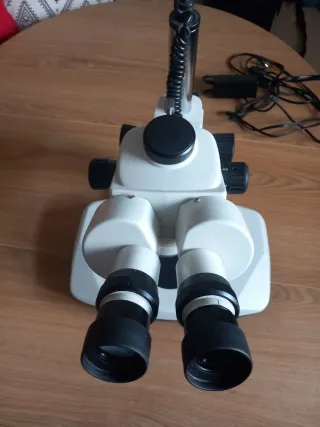 Microscopio Profesional Motic SMZ168