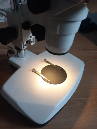 Microscopio Profesional Motic SMZ168