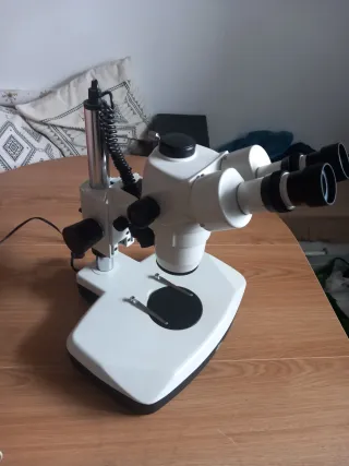 Microscopio Profesional Motic SMZ168