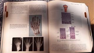 Anatomía y Fisiología + Evolve (Spanish Edition)