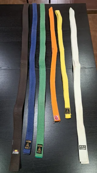 Lote 6 cinturones karate