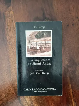 Las inquietudes de Shanti Andía (Spanish Edition)