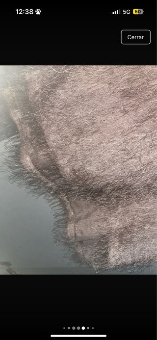 Camisa Zara Beige Talla M