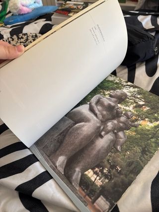 Libro botero en madrid