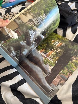 Libro botero en madrid