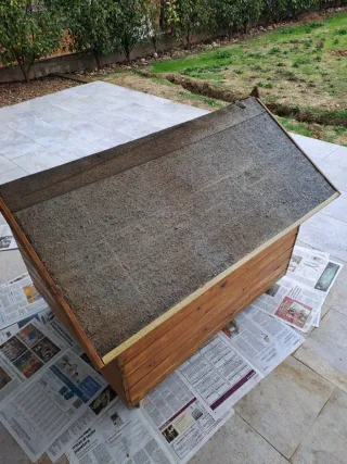 Caseta perro madera grande. Recien barnizada