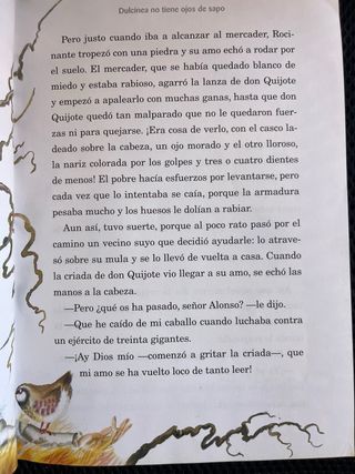 Erase Una Vez Don Quijote (Spanish and English ...