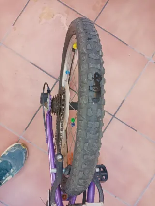 Bicicleta infantil 22 pulgadas morada