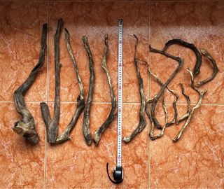 Maderas Raíz Acuario Natural